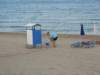 ffrondhobbelenophetstrandmetmijnzus_small.jpg